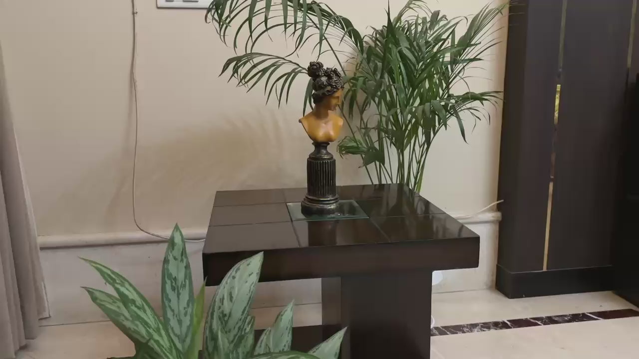 Timeless Elegance: The Art of Serenity